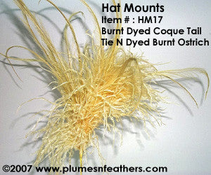 Hat Mount HM '17'