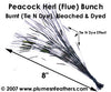 Burnt (TD) Peacock Bunch 8"