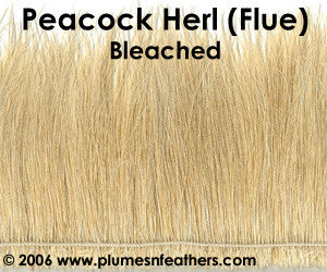 Peacock Herl (Flue) Bleached Strung 10"/12"