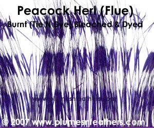 Peacock Herl (Flue) Burnt Tie N Dye Strung 4"/6"