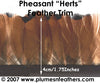 PH14 Pheasant Ringneck Fringe 1"