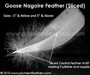 Sliced Goose Nagoires Strung Dyed 5" & Above ½ Oz.