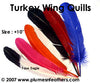 Turkey Quills 8"/10" Dyed Selected