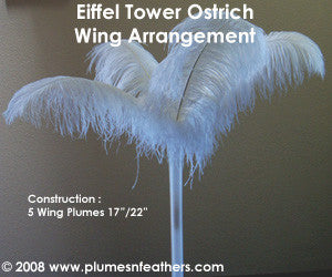 Ostrich Feather 5 Pc. Arrangement 22"