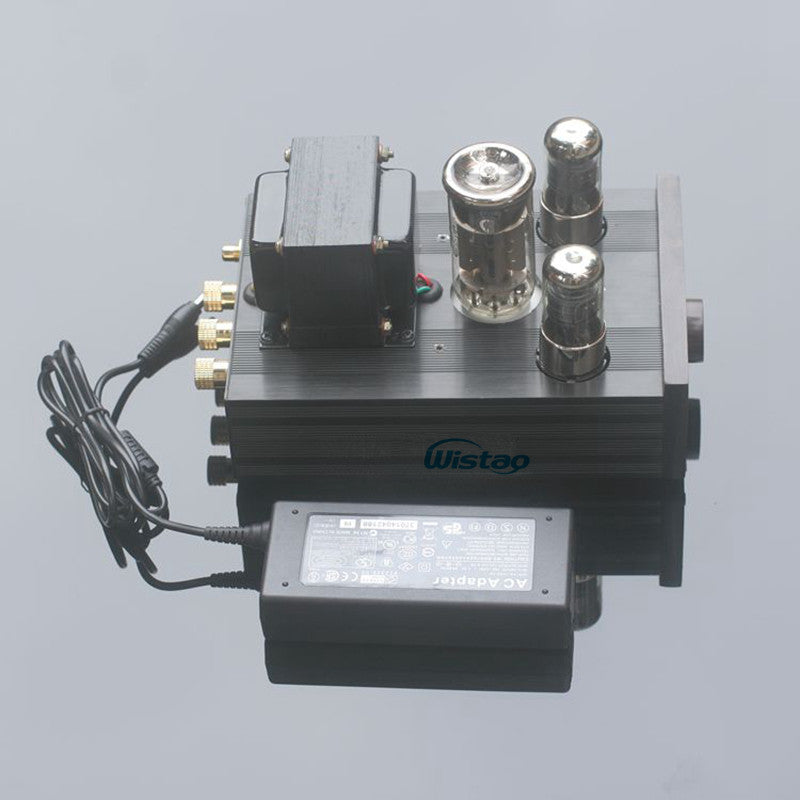 IWISTAO 1pc Mono Tube Amplifier FU50 Power Stage Class A Signal-ended Small 300B 12W Preamplifier 2 x 6J4P HIFI Audio