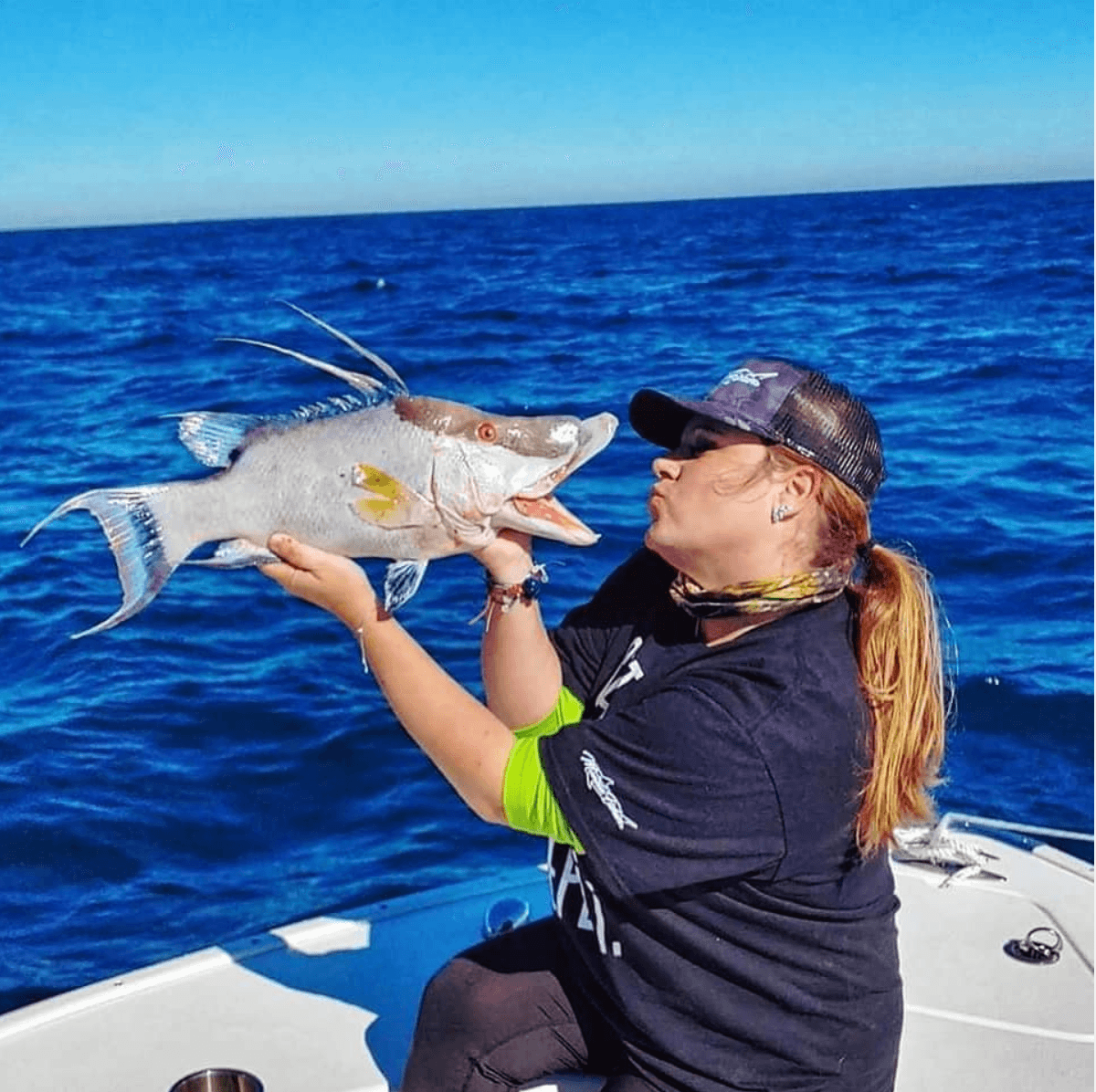 How to Catch Hogfish in St Petersburg, Florida