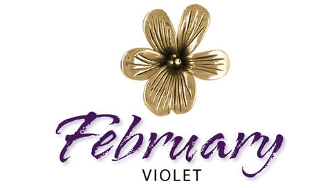 february birth flower jewelry violet