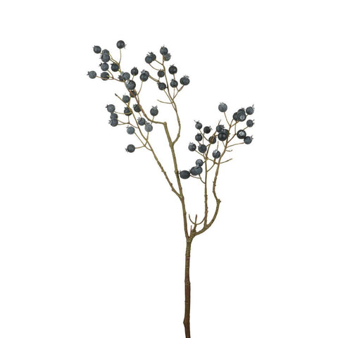 Blackcurrant Spray