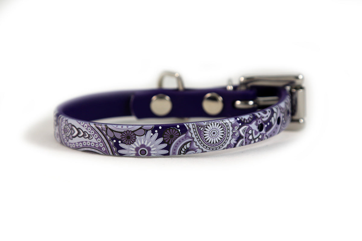 2 inch dog collar