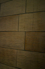 Waves in the Walls of the Natural History Museum