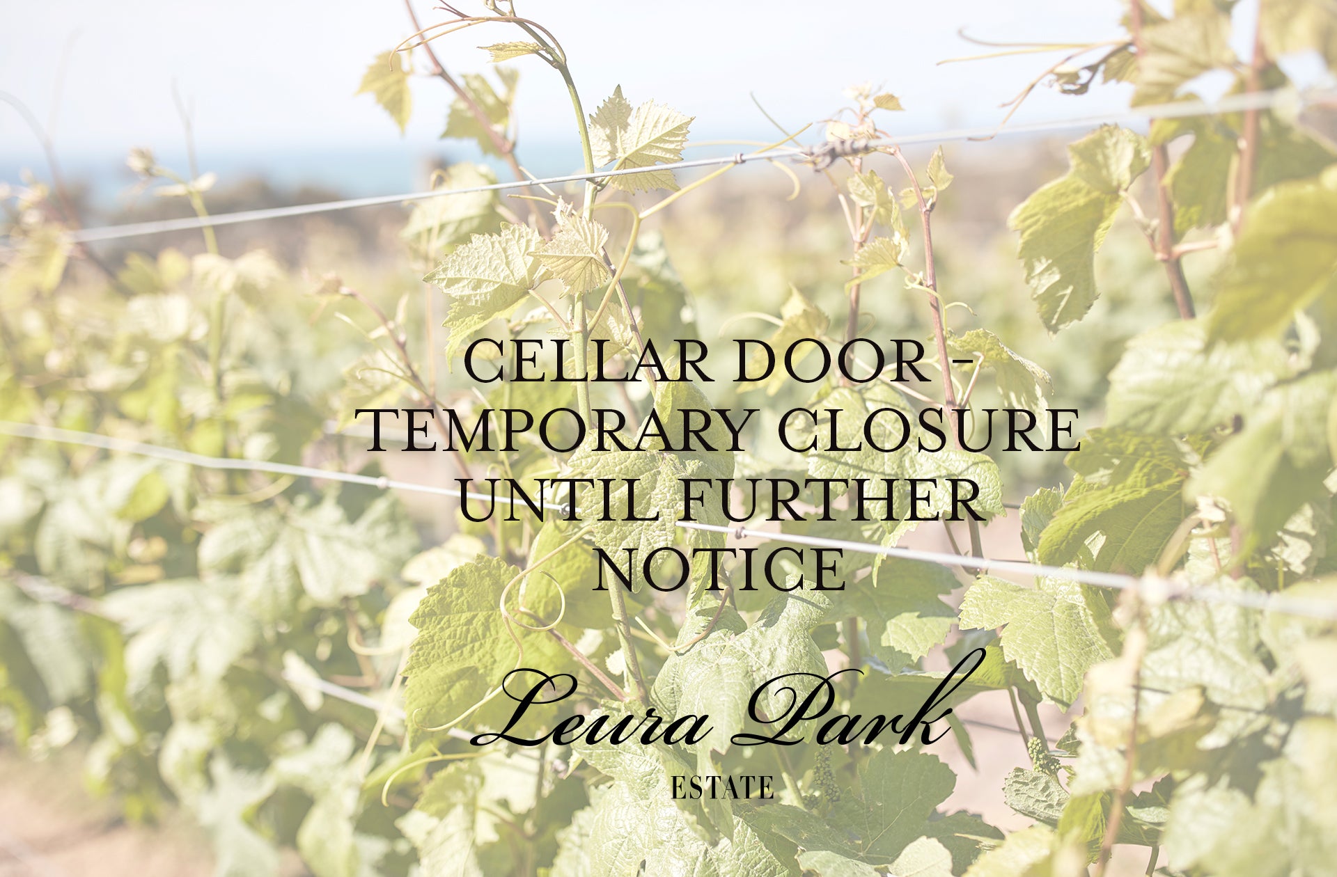 Cellar Door - Temporary Closure until further notice
