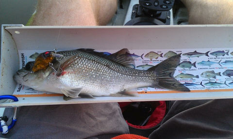 bream bass lures 