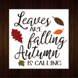 Leaves are Falling Autumn is Calling