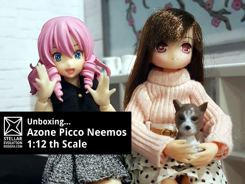 picco neemo doll