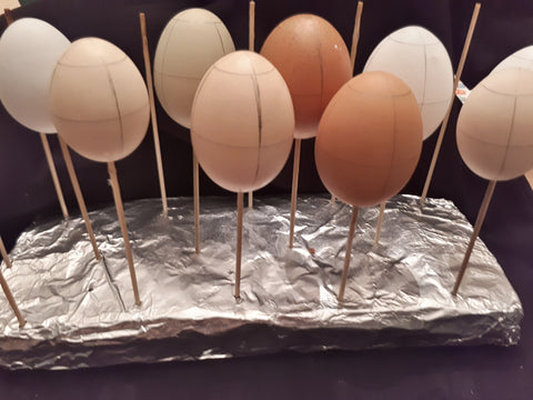 Eggshells drying on a rack