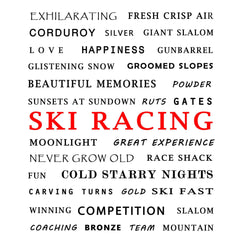 ski racing memories by ski stuff home decor