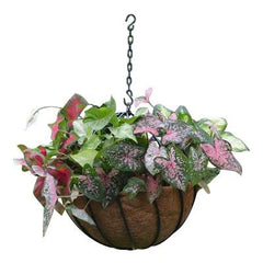 Hanging Planter with Coco Fiber Liner - Henderson Supply