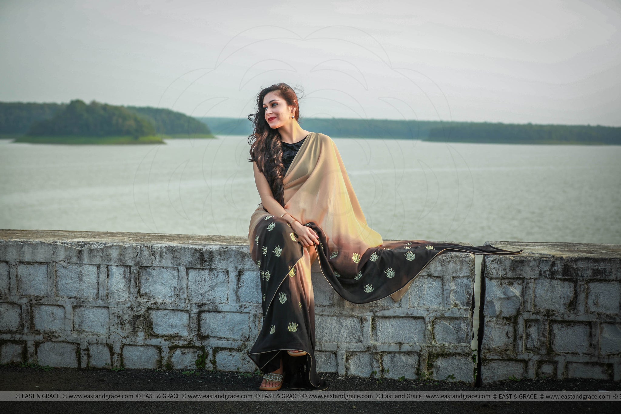 Gold Lotuses on Apricot Pure Silk Georgette Saree