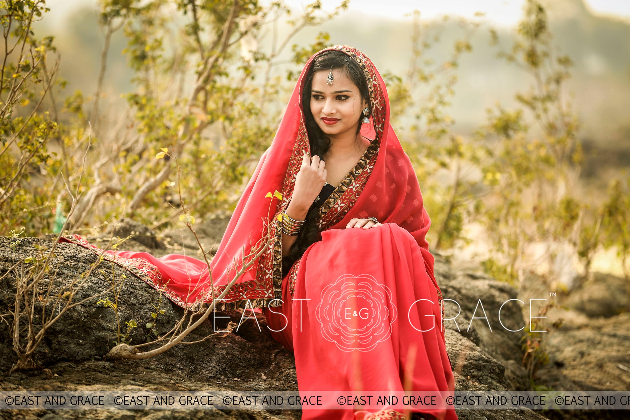 Red Ruby pure silk chiffon fabric hand embroidered saree