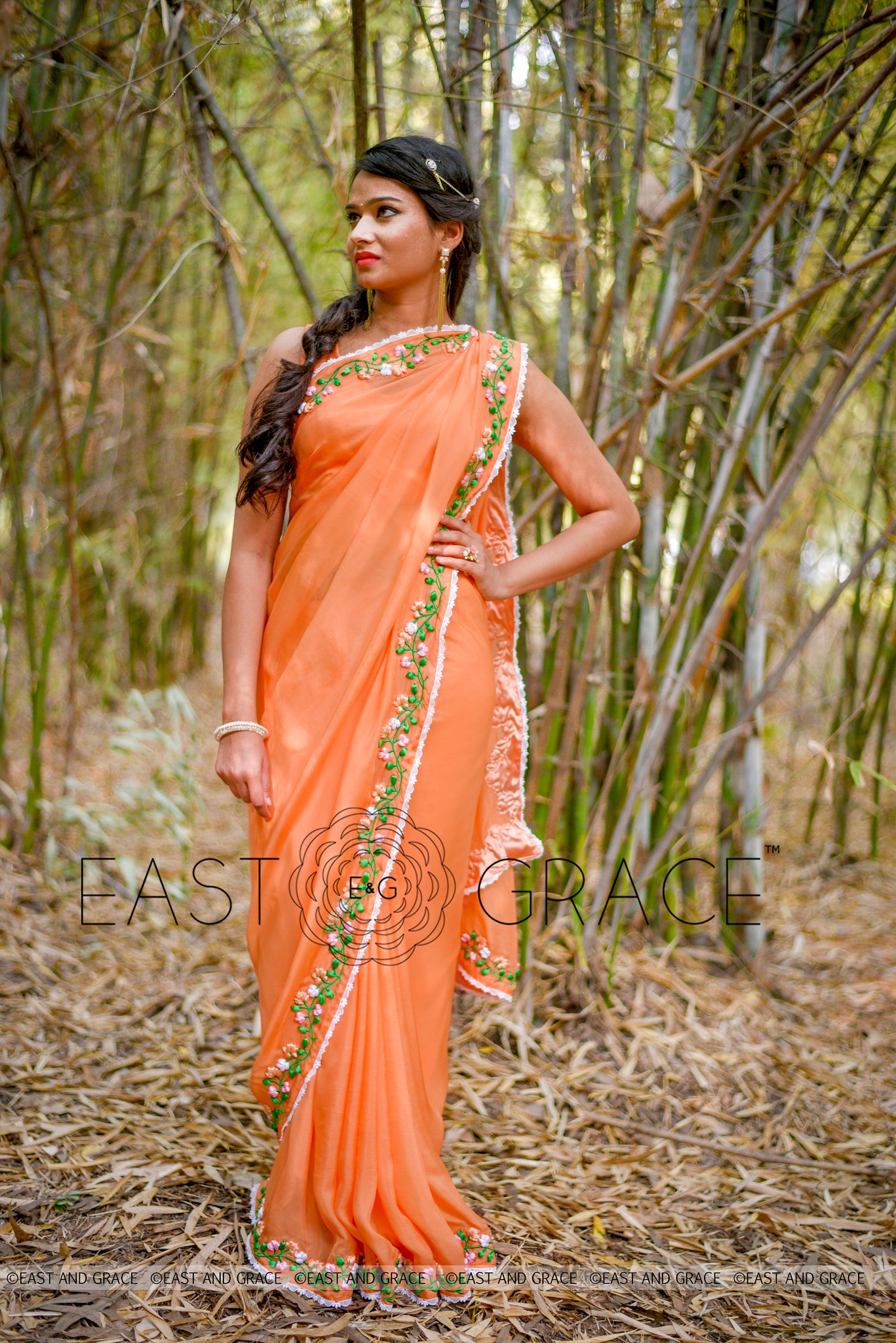 Tangerine Garden Silk Chiffon Ribbonwork Saree