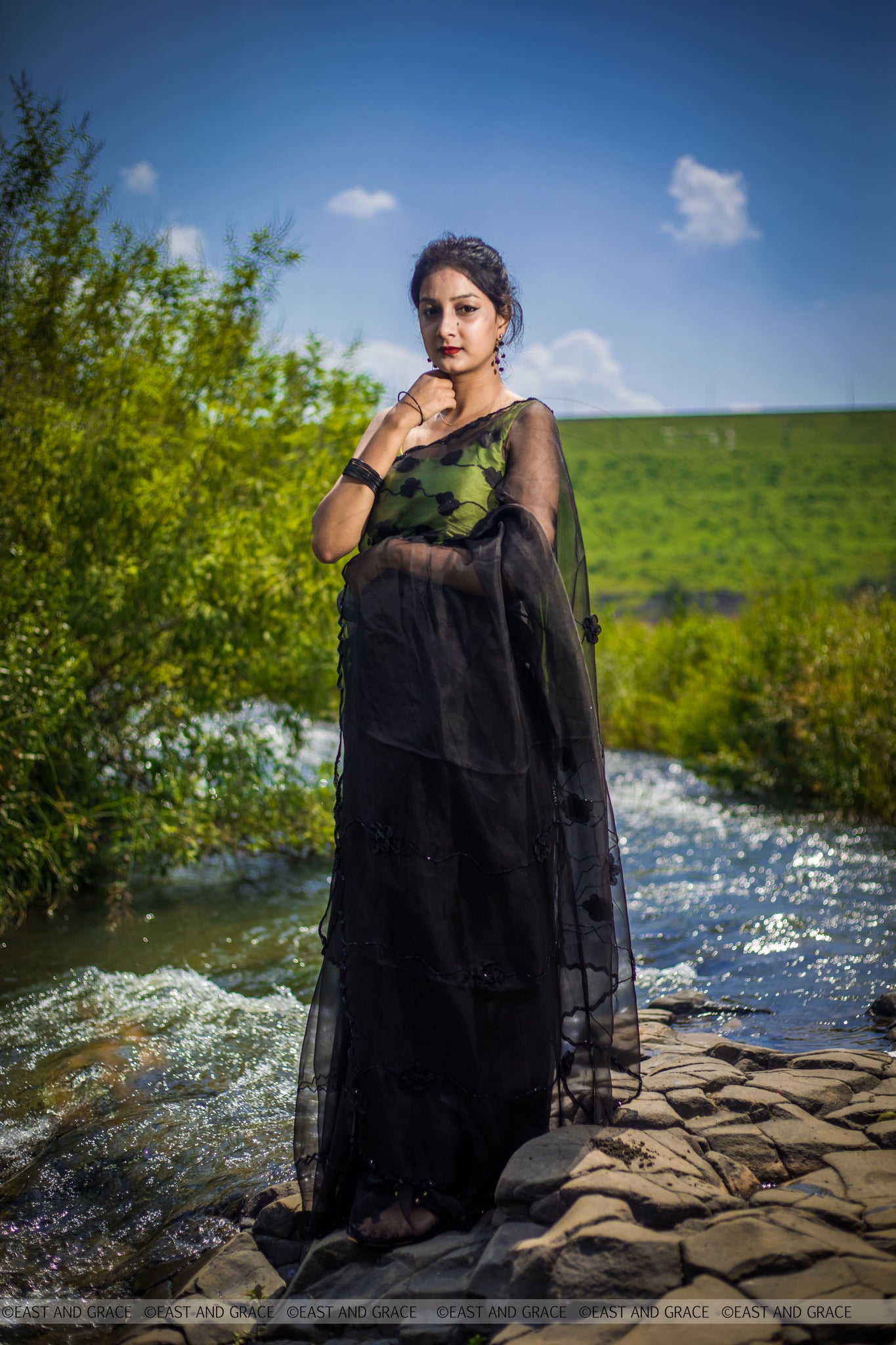 Black Cassia Pure Silk-Organza Hand Embroidered Saree