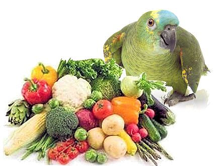 Feed your bird calcium rich vegetables