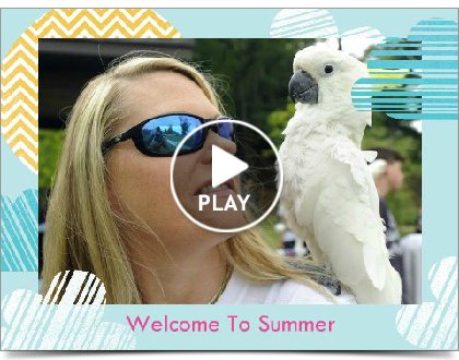 Summer of Parrots Slideshow