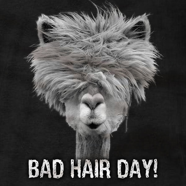 Bad-Hair-Day_105fb160-8933-4029-a8dc-31a
