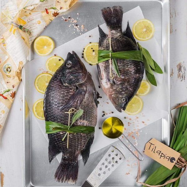 Why You Shouldn T Eat Tilapia Is Tilapia Bad For You Global Seafoods North America