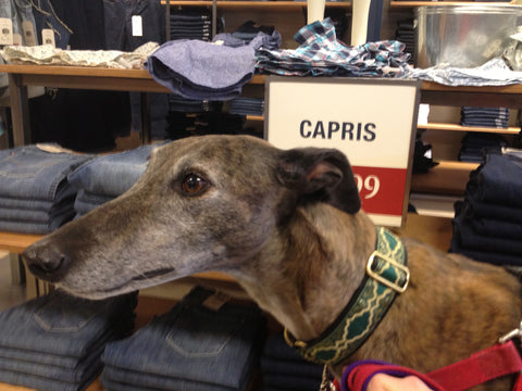 In a clothing store at the Greyhounds in Gettysburg annual event.