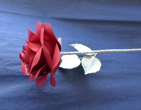 Single red paper rose