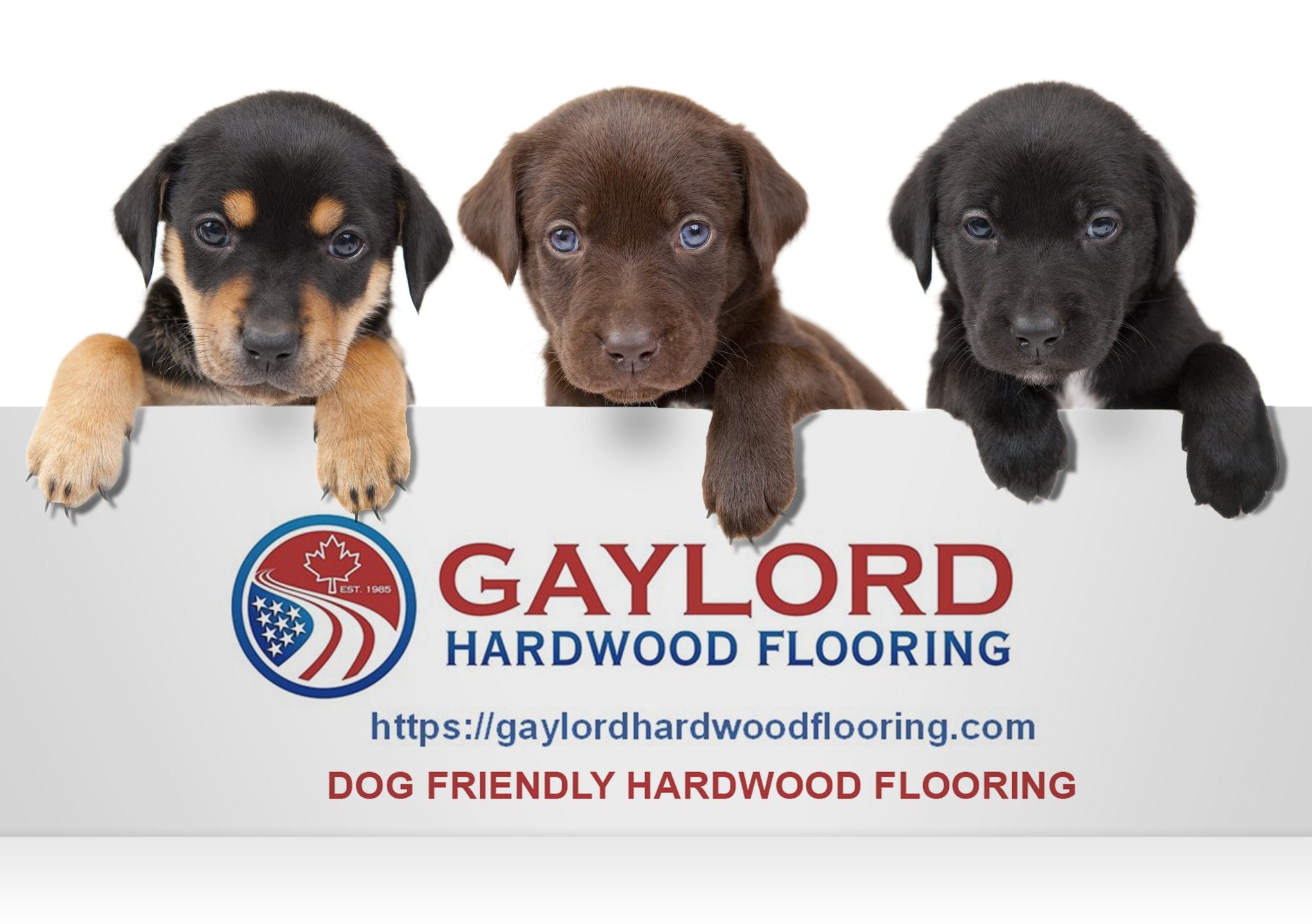 Flooring for dogs and families