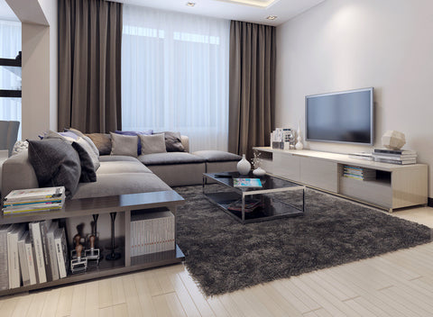 interior design for the living room