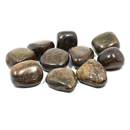 Bronzite Tumble Stone (20-25mm)