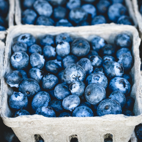 National Blueberry Day