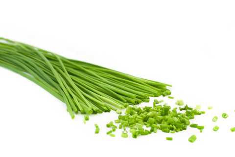 Chives Spring Herb