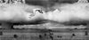 Caco Neves Nuclear