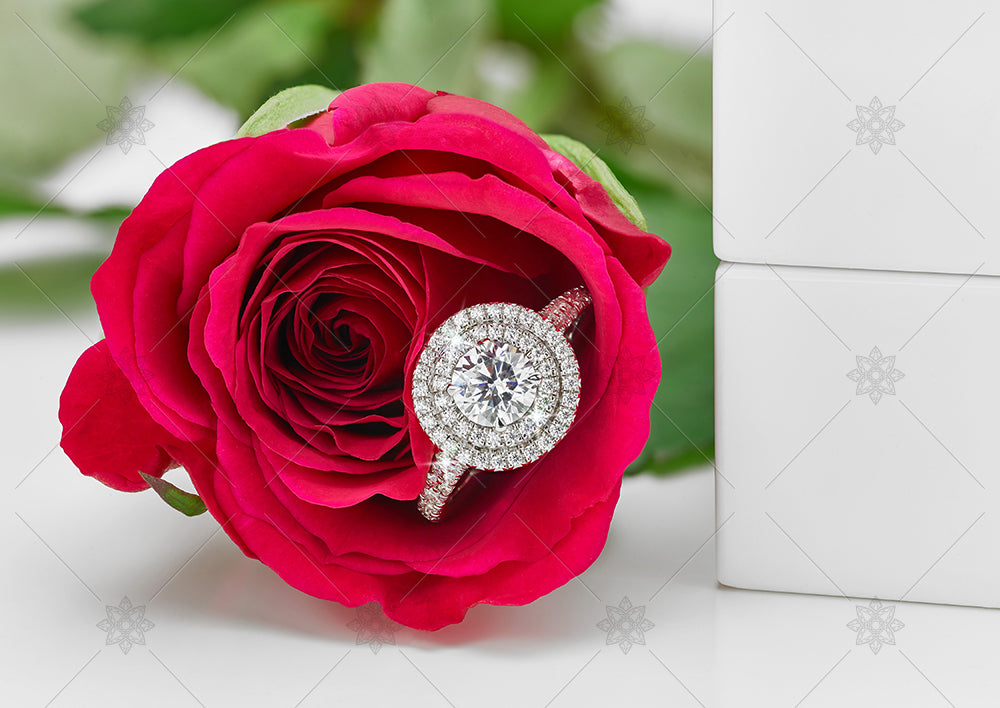 red rose and diamond rings