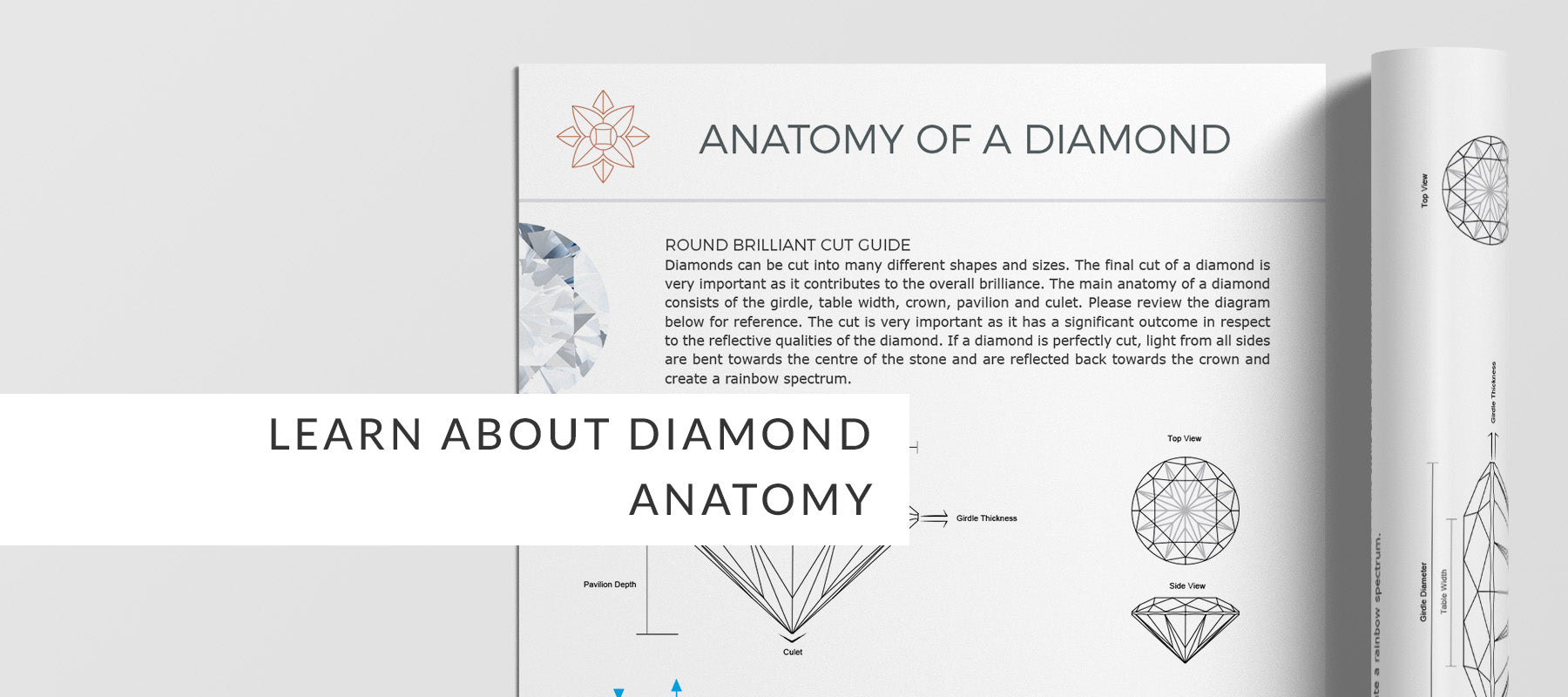 diamond anatomy charts