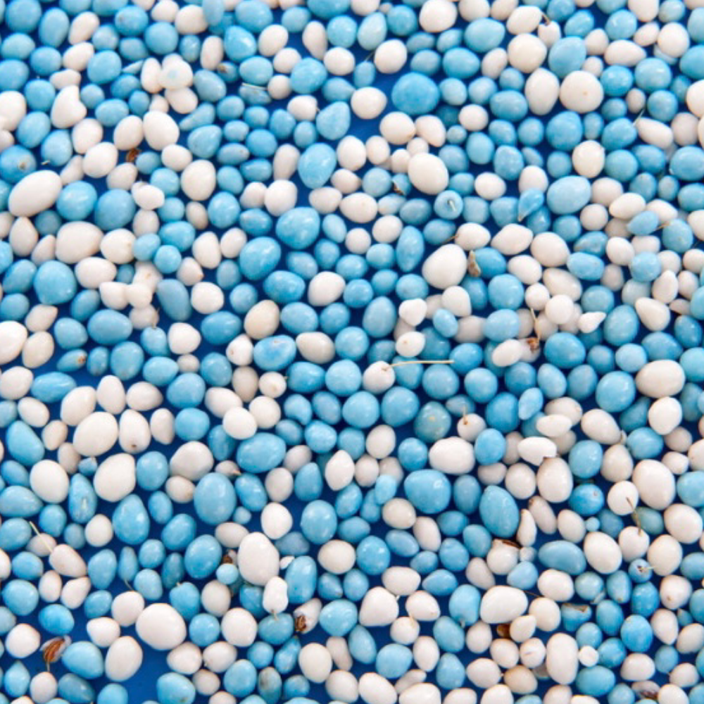 Becks hoek Koopje Geboorte muisjes blauw – Candy Freaks