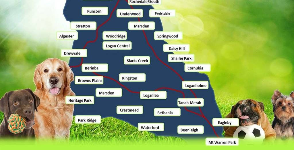 My Pet Service Map
