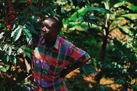 Mount Elgon Farmer