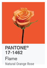 FLAME PANTONE OF THE YEAR 2017