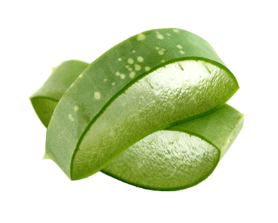 aloe vera leaf uses, body wash for pregnancy, pregnancy safe body wash, best body wash for pregnancy | The Spoiled Mama, pregnancy skincare
