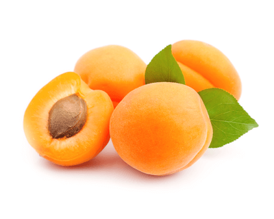 apricot kernel oil pregnancy