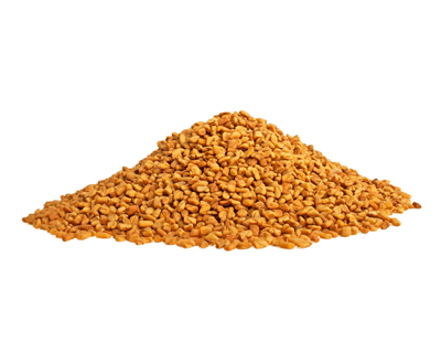 fenugreek for increasing milk production