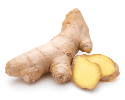 ginger helps nausea
