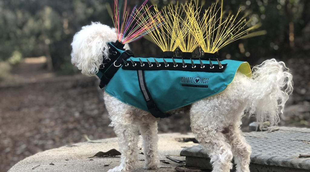 coyote vest for dogs with spikes