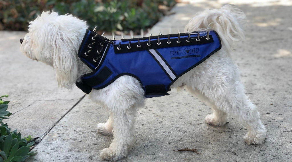 what does a red vest on a dog mean