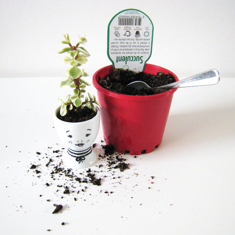 DIY mini planters by One Tiny Tribe